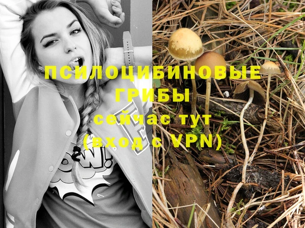 гашик Володарск