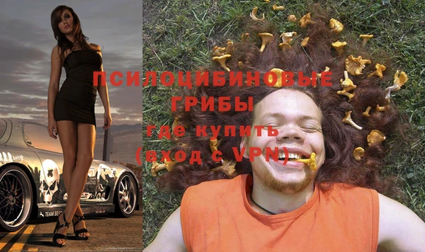 гашик Володарск