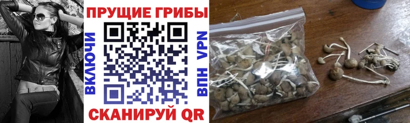 мега сайт  Первоуральск  Галлюциногенные грибы Psilocybine cubensis 